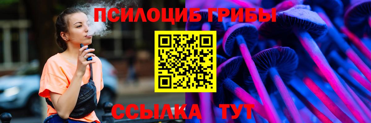Псилоцибиновые грибы Psilocybe Алапаевск