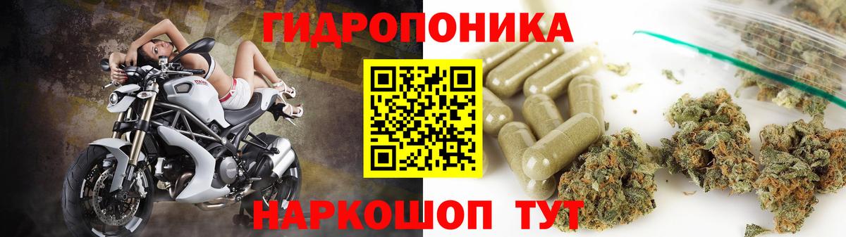 Бошки марихуана сатива  Каннабис марихуана  Алапаевск  Конопля OG Kush  Вход с VPN  Канабис VHQ 